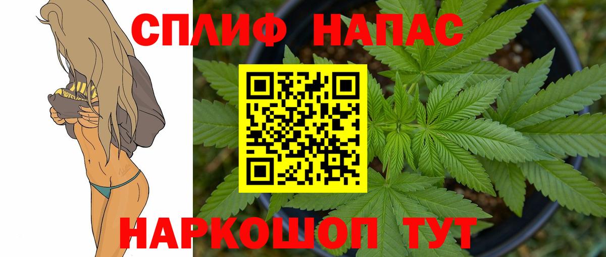 Ессентуки  Канабис гибрид  Шишки марихуана семена  Вход с VPN  Каннабис план 